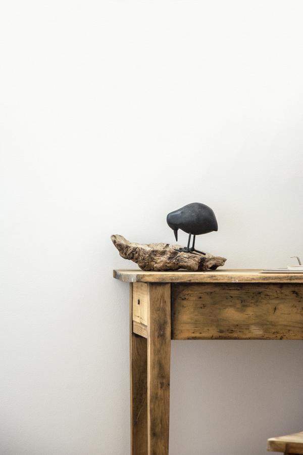 Le Roi Des Oiseaux - Gite A La Campagne Montcavrel Экстерьер фото